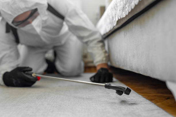 Professional Cockroach Control technician working in Perry, IA
